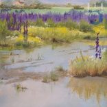 Spring Shower